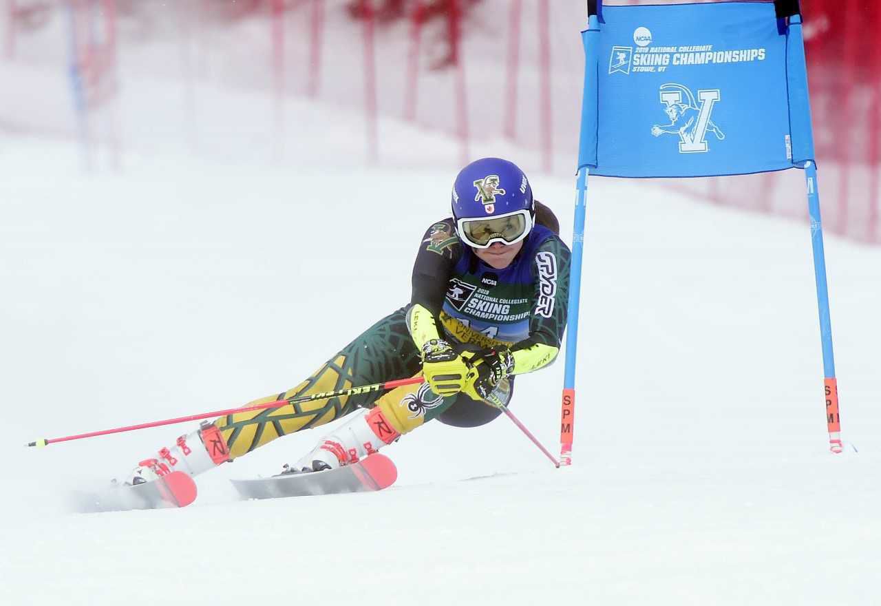 ski